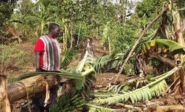 Grabber With a Pistol Fails To Prove Ownership Of The Land After Evicting Residents