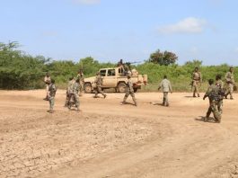 Another Al-Shabaab Attack Leaves 17 Dead, See Details