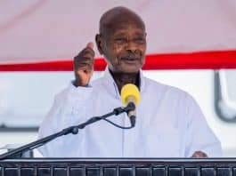 Adequately Capitalize UDB to Accelerate The Achievement of 10-Fold Growth Strategy! NPA Think Tank Members Advise Museveni