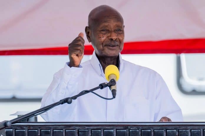 Adequately Capitalize UDB to Accelerate The Achievement of 10-Fold Growth Strategy! NPA Think Tank Members Advise Museveni